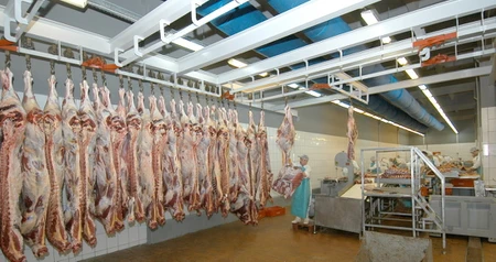Дезинсекция на мясокомбинате в Наро-Фоминске, цены на услуги