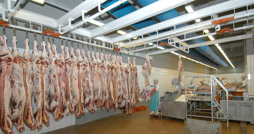Дезинсекция на мясокомбинате в Наро-Фоминске, цены на услуги